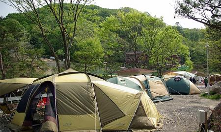 장흥 수목원 캠핑장 작은이미지