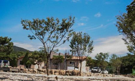 캠프 예그리나 작은이미지