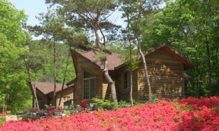 서산 국립용현자연휴양림 작은이미지
