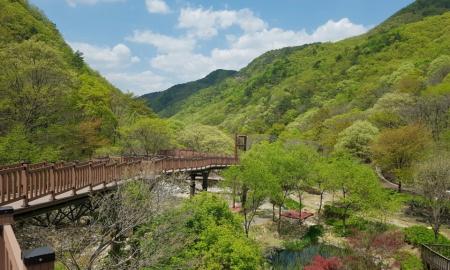 금산 산림문화타운 캠핑장 작은이미지