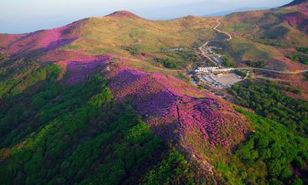 황매산 오토캠핑장 작은이미지