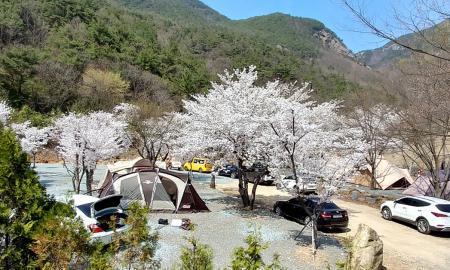 구만산장 캠핑장 작은이미지