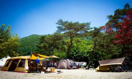 진밭골향기 캠핑장 작은이미지