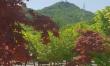 천보산 오토캠핑장 작은이미지