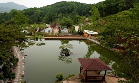 양평 수목원 캠핑장 작은이미지