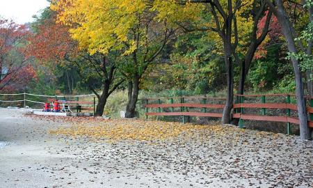 추억만들기 캠핑장 작은이미지