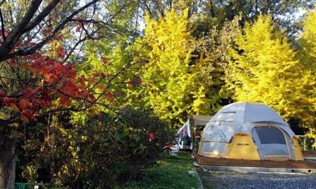 충주 오지 캠핑장 작은이미지