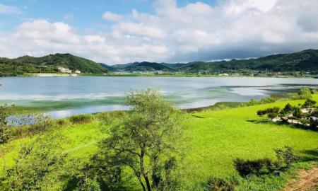 부여 옥산호수정원 (구. 진달래 관광농원) 작은이미지