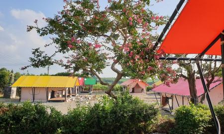 들소리 키즈 글램핑 작은이미지